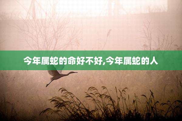 今年属蛇的命好不好,今年属蛇的人