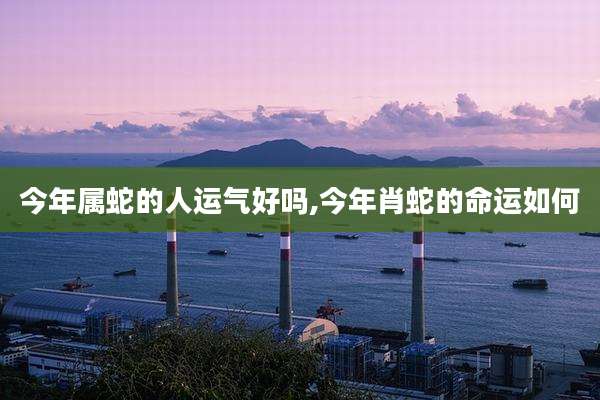 今年属蛇的人运气好吗,今年肖蛇的命运如何