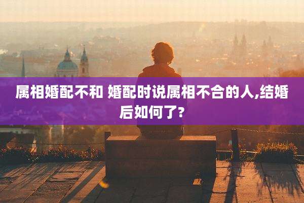 属相婚配不和 婚配时说属相不合的人,结婚后如何了?