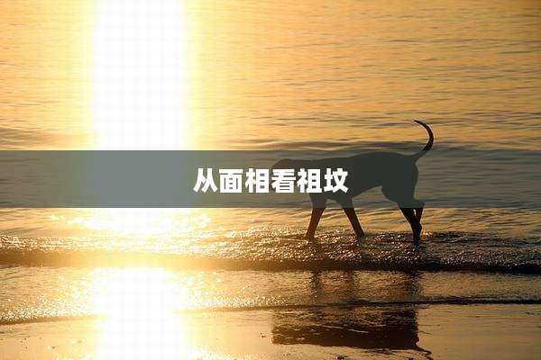 从面相看祖坟