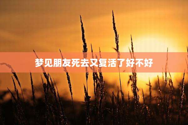 梦见朋友死去又复活了好不好