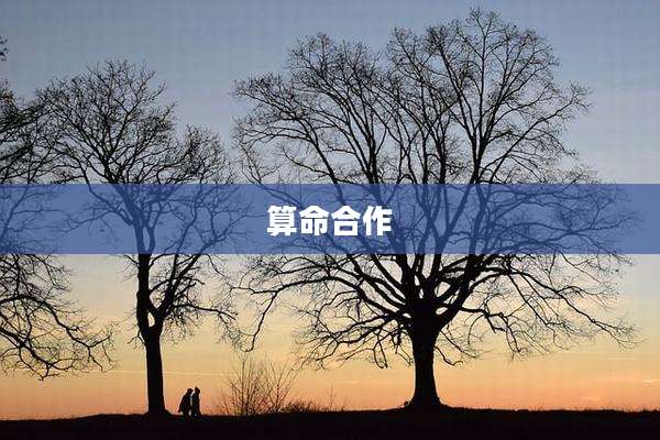 算命合作