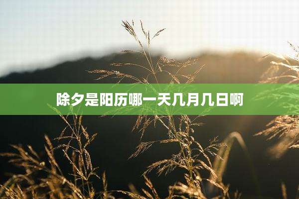除夕是阳历哪一天几月几日啊