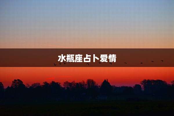 水瓶座占卜爱情