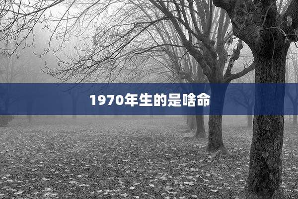1970年生的是啥命