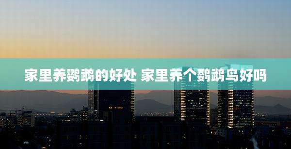 家里养鹦鹉的好处 家里养个鹦鹉鸟好吗