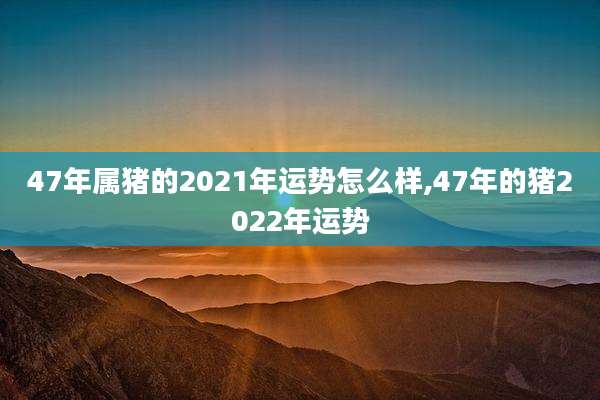 47年属猪的2021年运势怎么样,47年的猪2022年运势