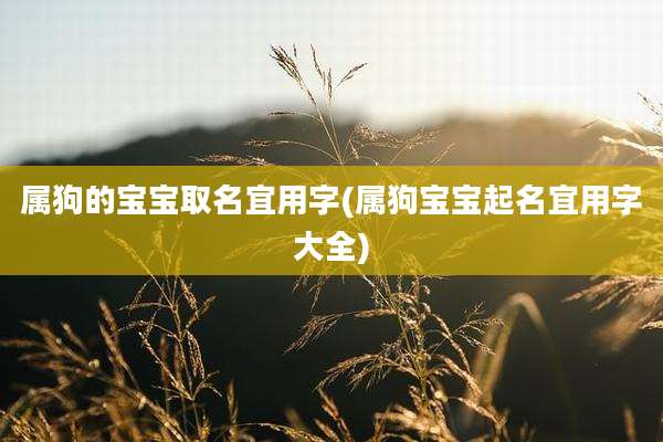 属狗的宝宝取名宜用字(属狗宝宝起名宜用字大全)