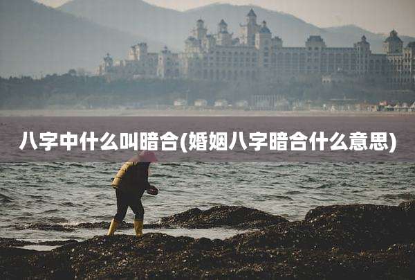 八字中什么叫暗合(婚姻八字暗合什么意思)
