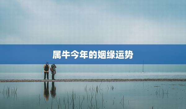 属牛今年的姻缘运势