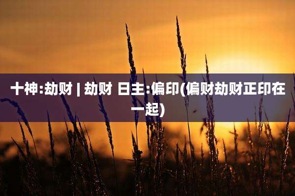 十神:劫财 | 劫财 日主:偏印(偏财劫财正印在一起)