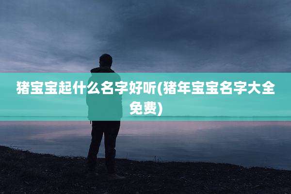 猪宝宝起什么名字好听(猪年宝宝名字大全免费)