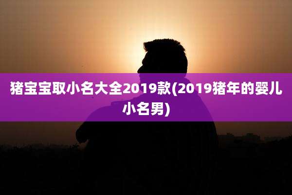 猪宝宝取小名大全2019款(2019猪年的婴儿小名男)
