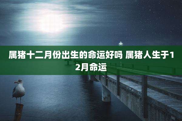 属猪十二月份出生的命运好吗 属猪人生于12月命运