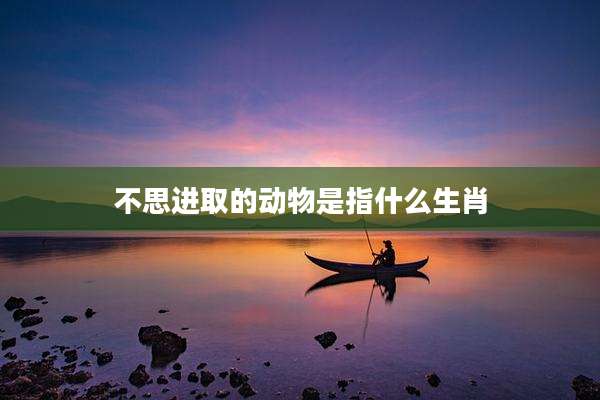 不思进取的动物是指什么生肖