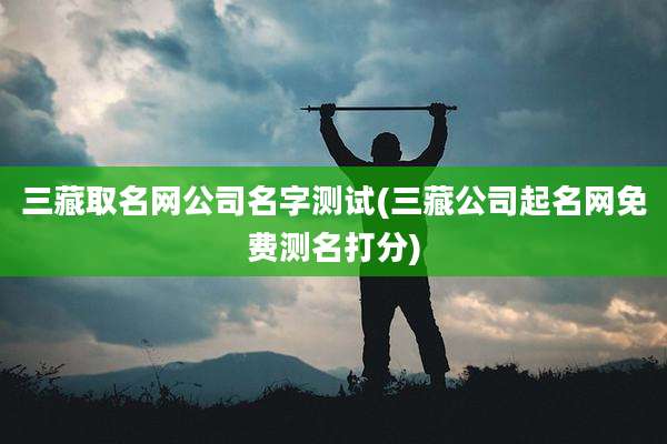 三藏取名网公司名字测试(三藏公司起名网免费测名打分)