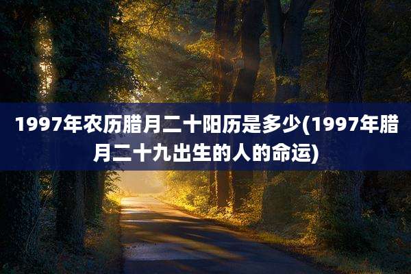 1997年农历腊月二十阳历是多少(1997年腊月二十九出生的人的命运)