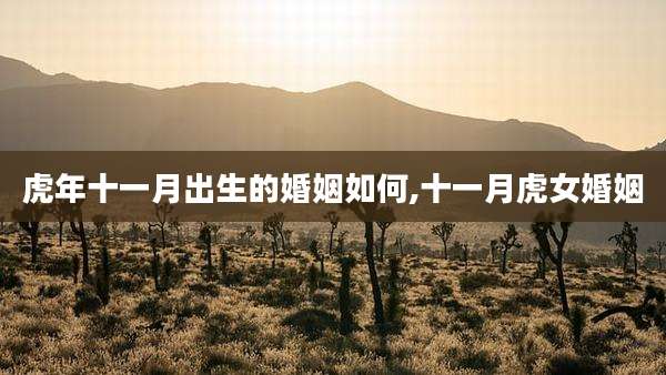 虎年十一月出生的婚姻如何,十一月虎女婚姻