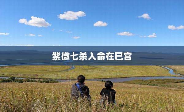 紫微七杀入命在巳宫