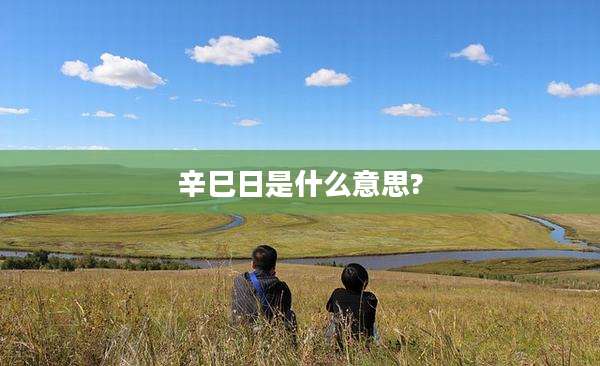 辛巳日是什么意思?