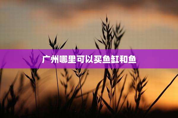 广州哪里可以买鱼缸和鱼