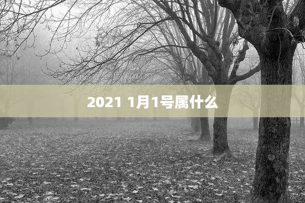 2021 1月1号属什么