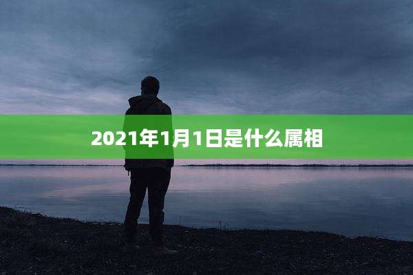 2021年1月1日是什么属相