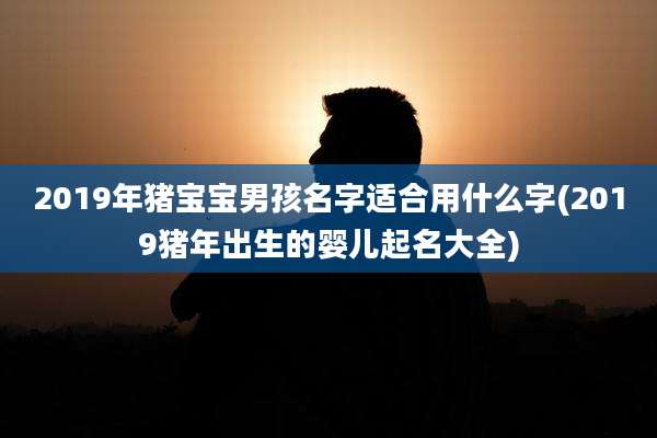 2019年猪宝宝男孩名字适合用什么字(2019猪年出生的婴儿起名大全)