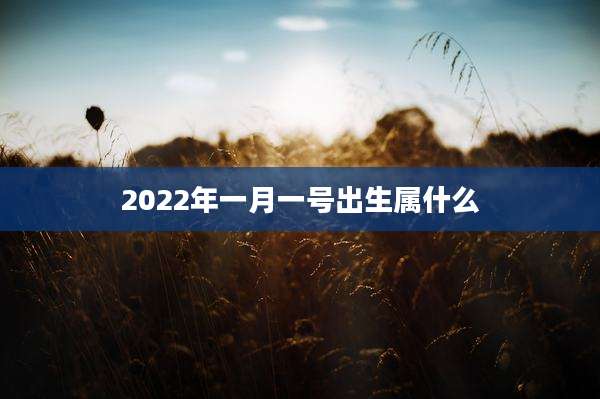 2022年一月一号出生属什么