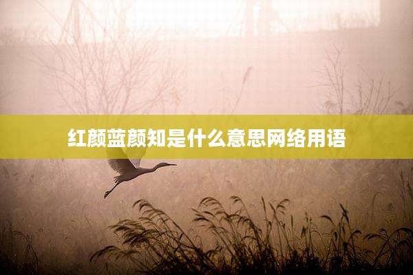 红颜蓝颜知是什么意思网络用语