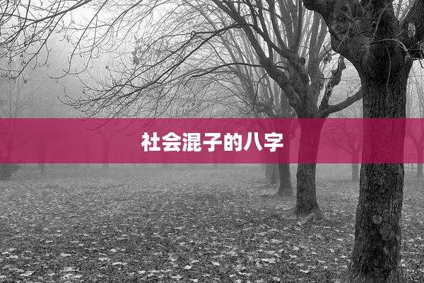 社会混子的八字