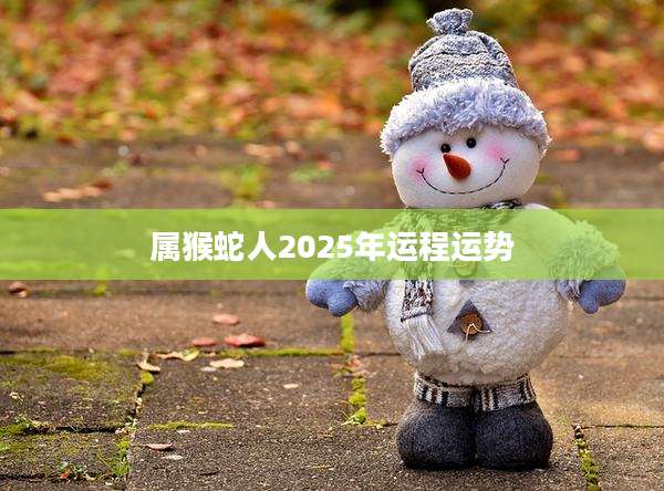 属猴蛇人2025年运程运势