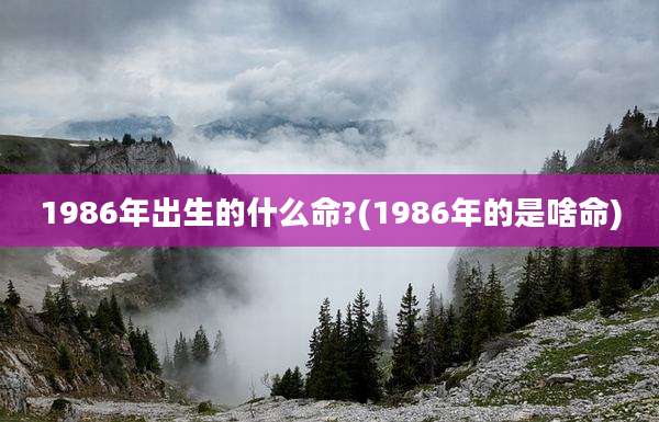 1986年出生的什么命?(1986年的是啥命)