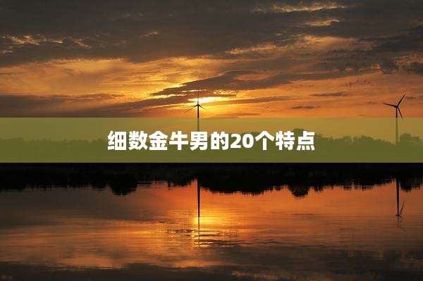 细数金牛男的20个特点