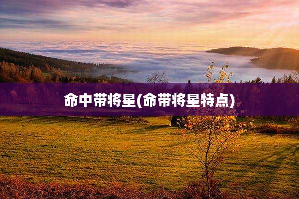命中带将星(命带将星特点)