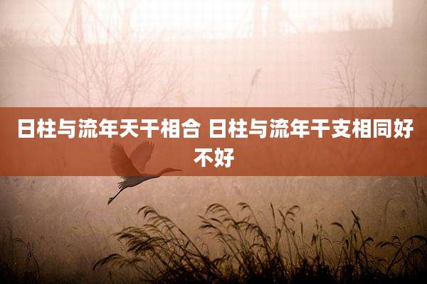 日柱与流年天干相合 日柱与流年干支相同好不好