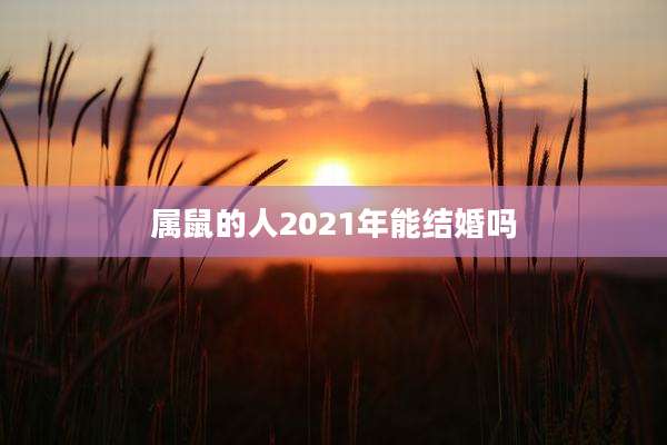 属鼠的人2021年能结婚吗