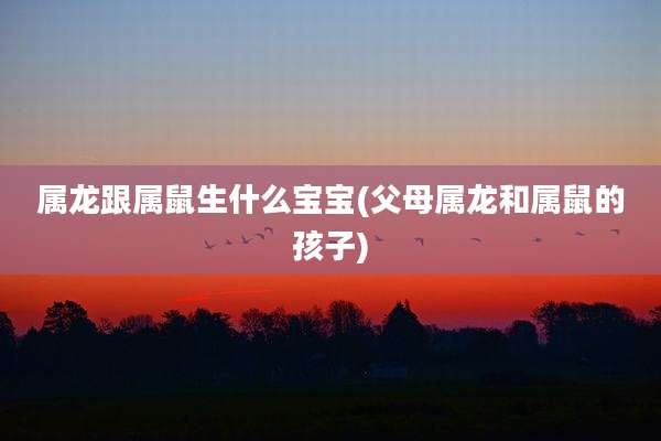 属龙跟属鼠生什么宝宝(父母属龙和属鼠的孩子)