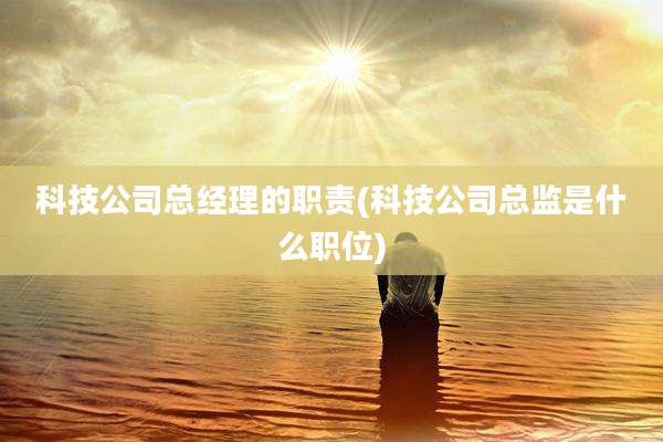 科技公司总经理的职责(科技公司总监是什么职位)