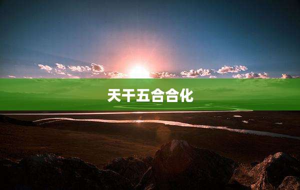 天干五合合化