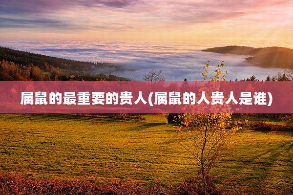 属鼠的最重要的贵人(属鼠的人贵人是谁)