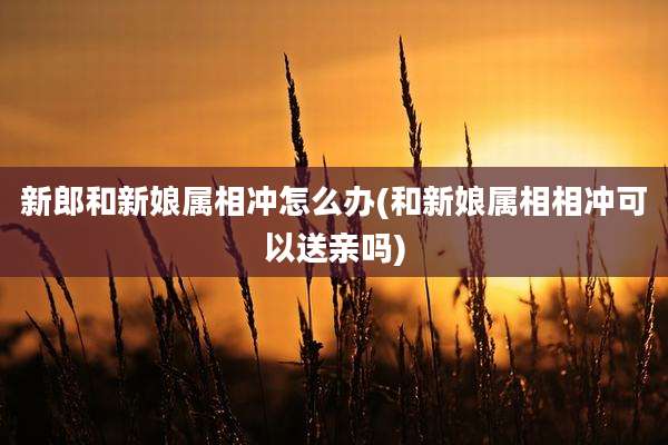 新郎和新娘属相冲怎么办(和新娘属相相冲可以送亲吗)