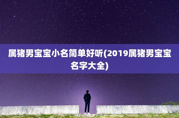 属猪男宝宝小名简单好听(2019属猪男宝宝名字大全)