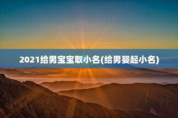 2021给男宝宝取小名(给男婴起小名)