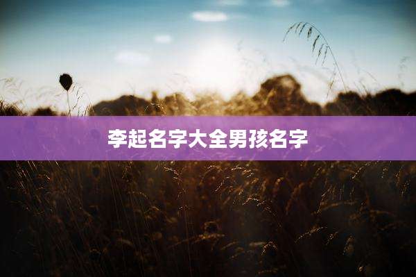 李起名字大全男孩名字