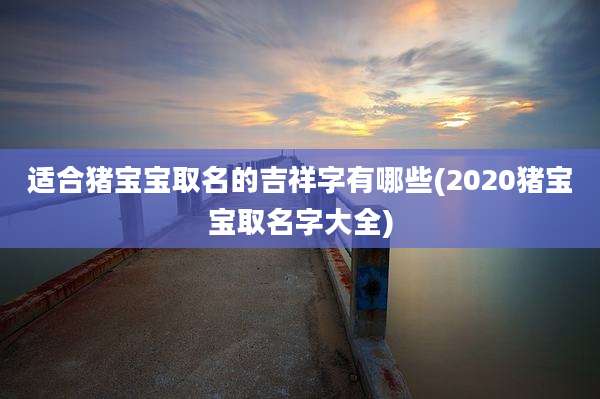 适合猪宝宝取名的吉祥字有哪些(2020猪宝宝取名字大全)