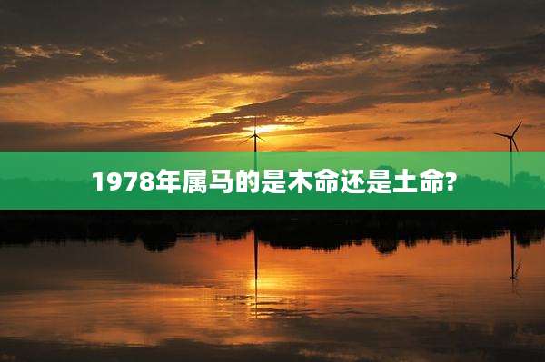 1978年属马的是木命还是土命?