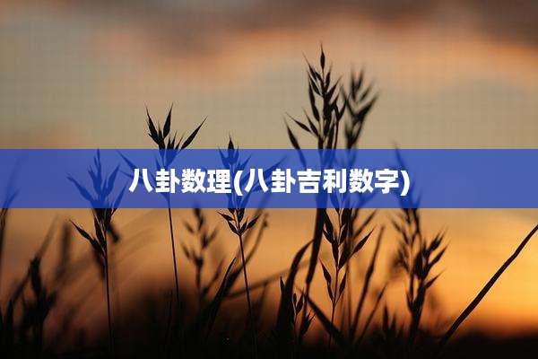 八卦数理(八卦吉利数字)