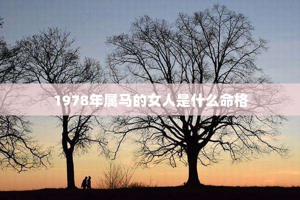 1978年属马的女人是什么命格