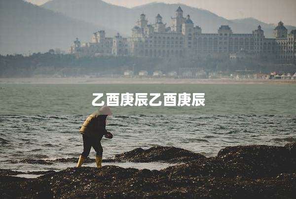 乙酉庚辰乙酉庚辰
